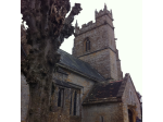 church_and_tree-claire-fuller